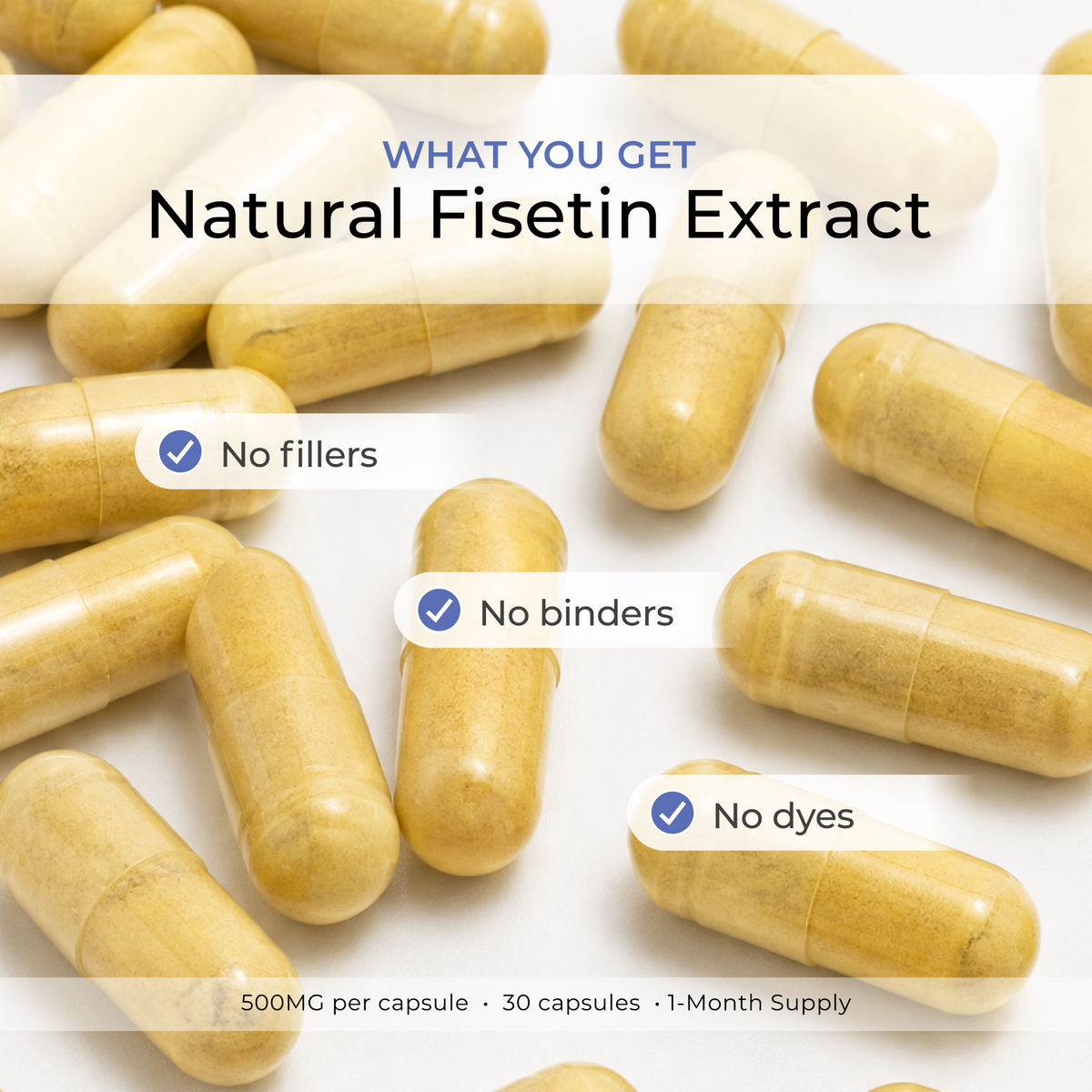 Fisetin Capsules